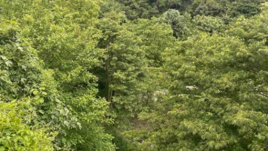 Rümeysa'nın cinayetinde yeni gelişme