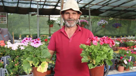 Rüzgarlı havada çiçeklerin akşam sulanması gerekiyor