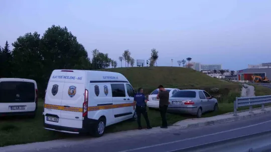 Sahibinin dolaştırdığı köpeğin aldığı koku cesedi ortaya çıkardı