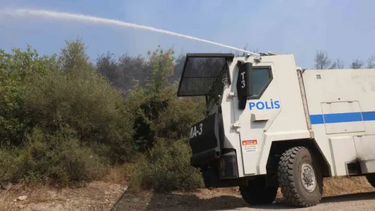 Sakarya-Bilecik sınırında alevler yeniden yükseldi