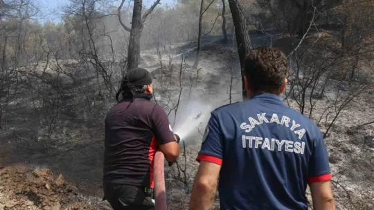 Sakarya-Bilecik sınırında alevler yeniden yükseldi