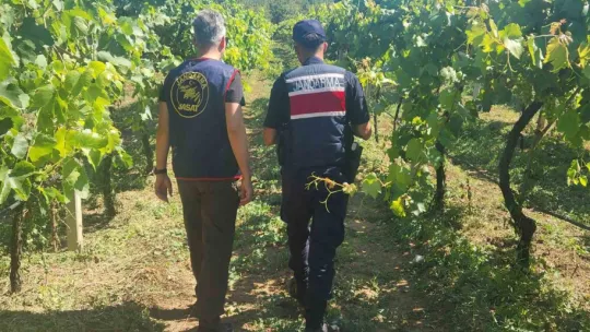 Sakarya'da 7 ayda 81 hırsızlık olayı meydana geldi