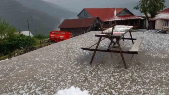 Sakarya'da tarım arazileri zarar gördü