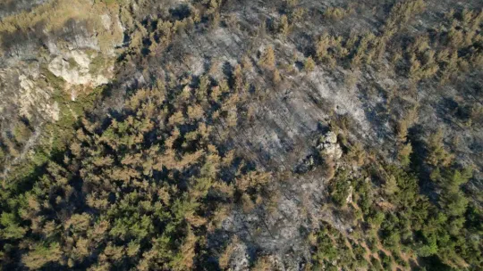 Sakarya'da dumanlar dağıldı, yangının hasarı ortaya çıktı