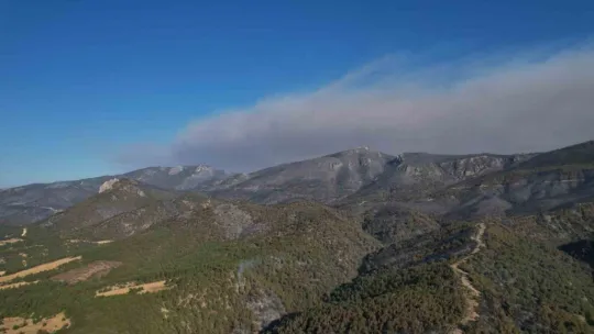 Sakarya'da dumanlar dağıldı, yangının hasarı ortaya çıktı