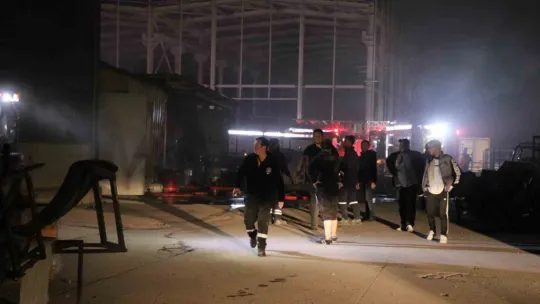 Sakarya'da fabrika yangını