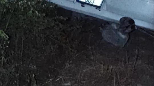 Sakarya'da kontrolden çıkan otomobil hurdaya döndü: 1 ölü, 1 yaralı