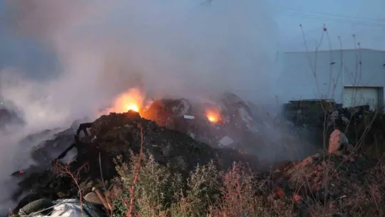 Sakarya'da korkutan yangın
