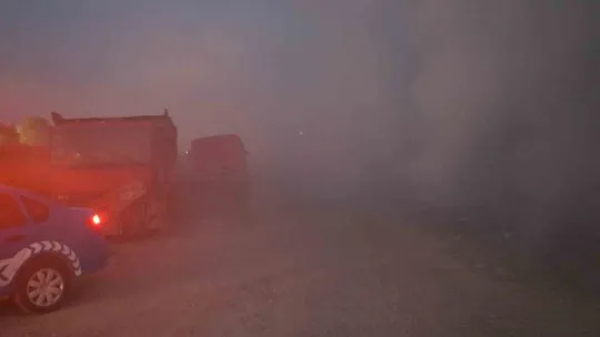 Sakarya'da korkutan yangın