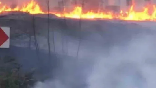 Sakarya'da mahalleli sokağa döküldü