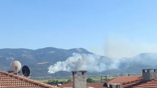 Sakarya'da orman yangını