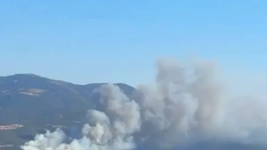 Sakarya'da orman yangını