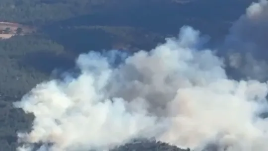 Sakarya'da orman yangını