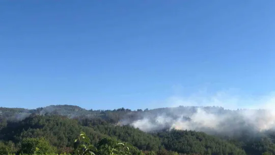 Sakarya'da yangına havadan ve karadan müdahale