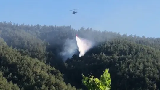 Sakarya'da yangına havadan ve karadan müdahale
