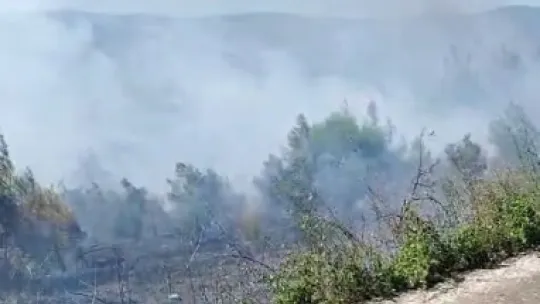 Sakarya'da yangına havadan ve karadan müdahale