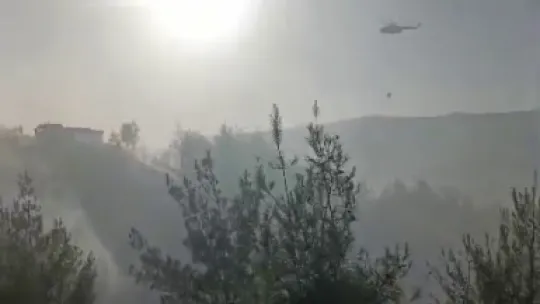 Sakarya'da yangına havadan ve karadan müdahale