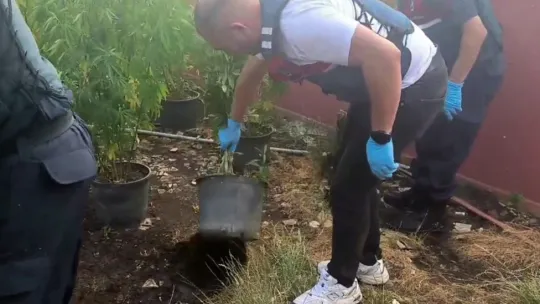 Sakarya'da uyuşturucu operasyonu: 1 tutuklama