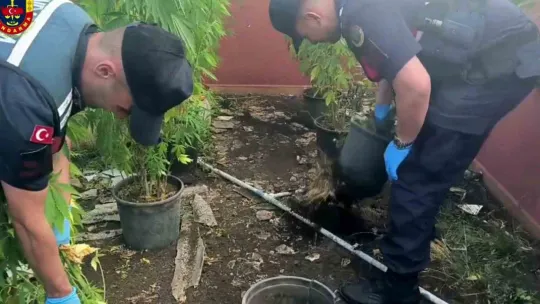 Sakarya'da uyuşturucu operasyonu: 1 tutuklama