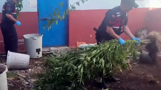 Sakarya'da uyuşturucu operasyonu: 1 tutuklama