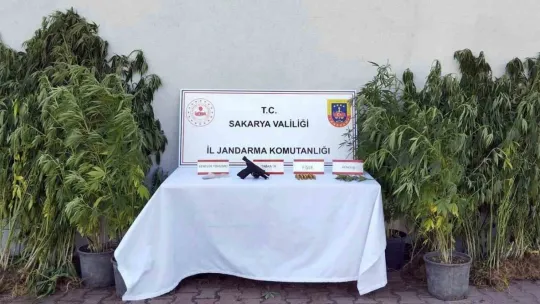 Sakarya'da uyuşturucu operasyonu: 1 tutuklama