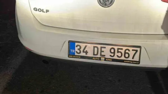 Sakarya'da yola fırlayan geyiğe otomobil çarptı