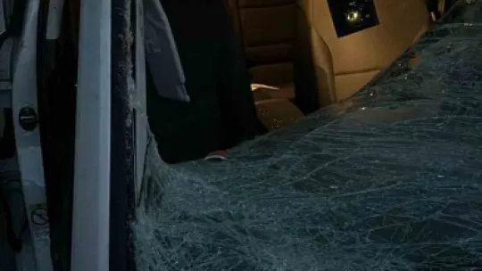 Sakarya'da yola fırlayan geyiğe otomobil çarptı