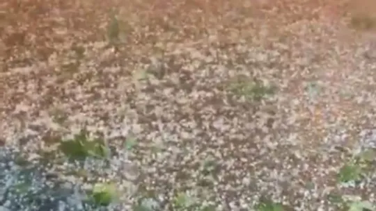 Sakarya'nın sahil ilçelerini dolu vurdu
