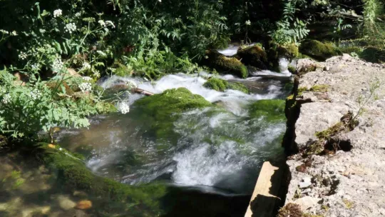 Sakarya'nın saklı kalmış doğa harikası
