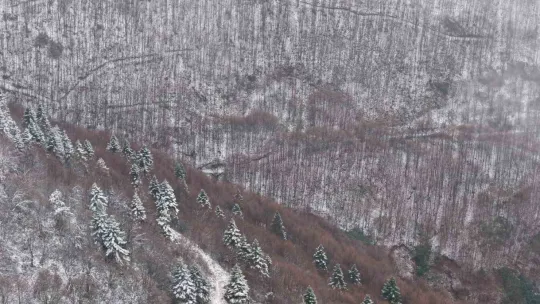 Samanlı Dağları'nın zirvesi beyaza büründü