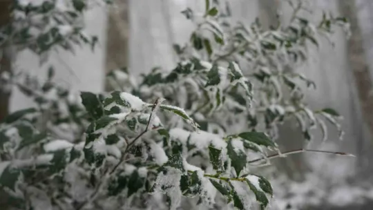 Samanlı Dağları'nın zirvesi beyaza büründü