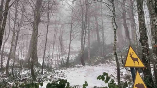 Samanlı Dağları'nın zirvesinde kar yağışı devam ediyor