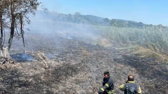 Sapanca Gölü'ndeki sazlık alanda yangın çıktı
