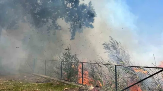 Sapanca Gölü'ndeki sazlık alanda yangın çıktı