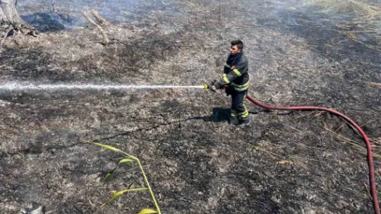 Sapanca Gölü'ndeki sazlık alanda yangın çıktı