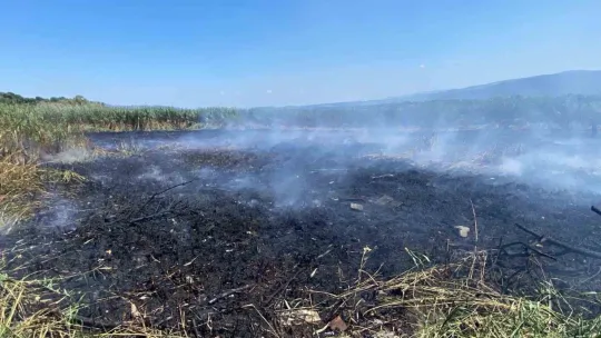 Sapanca Gölü'ndeki sazlık alanda yangın çıktı