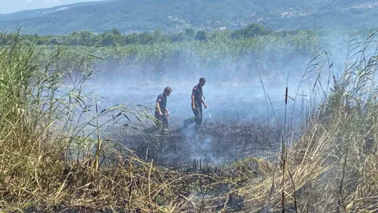 Sapanca Gölü'ndeki sazlık alanda yangın çıktı