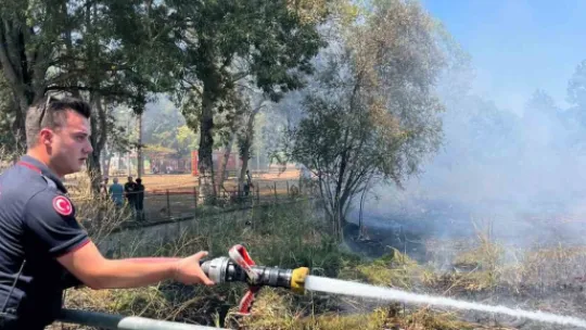 Sapanca Gölü'ndeki sazlık alanda yangın çıktı