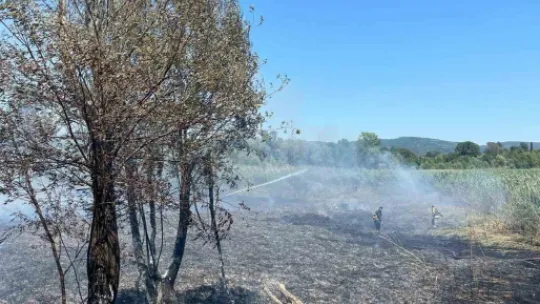 Sapanca Gölü'ndeki sazlık alanda yangın çıktı