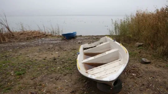 Sapanca Gölü'nde korkutan manzara