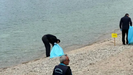 Sardala Koyu'nda atıklar toplanıyor