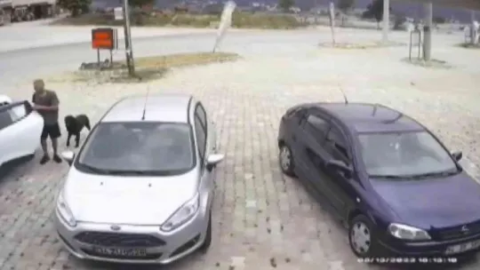 Şaşkına çeviren köpek hırsızlığı