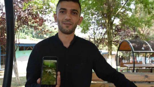 Şaşkına çeviren köpek hırsızlığı