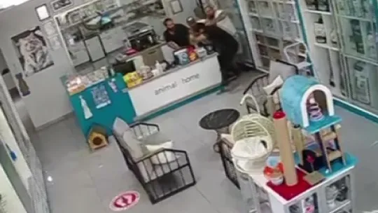 Şehir magandaları veteriner hekime kabusu yaşattı