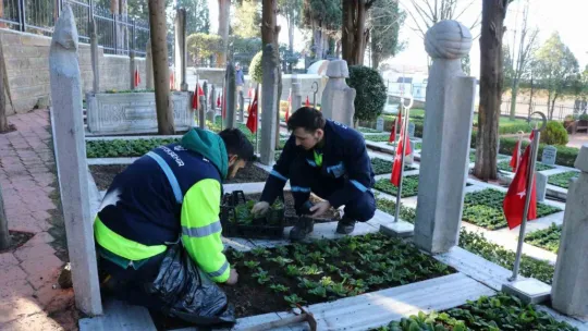 Şehit mezarları çiçeklerle donatıldı
