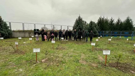Şehit öğretmenler için stadyum çevresine ağaç diktiler