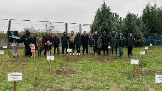 Şehit öğretmenler için stadyum çevresine ağaç diktiler
