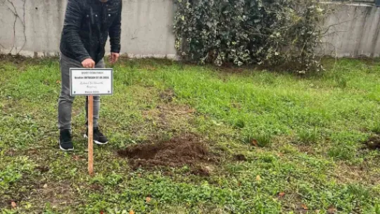 Şehit öğretmenler için stadyum çevresine ağaç diktiler