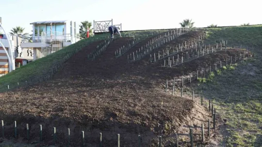 Seka Park'a 6 bin lale dikildi