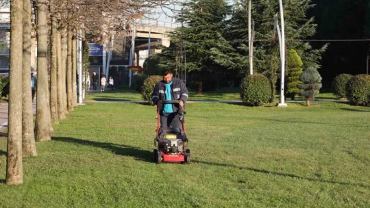 Seka Park'a 6 bin lale dikildi